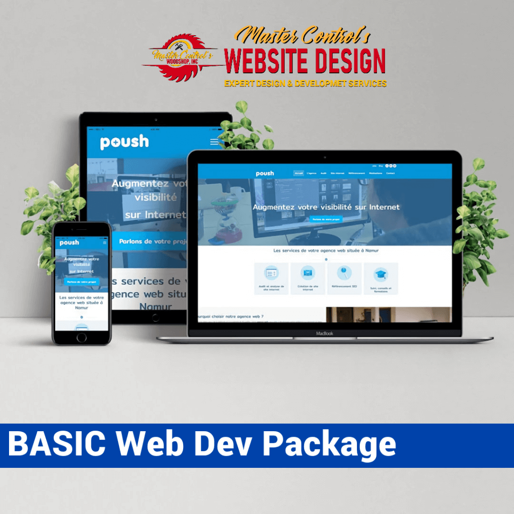 BASIC Web Development Package